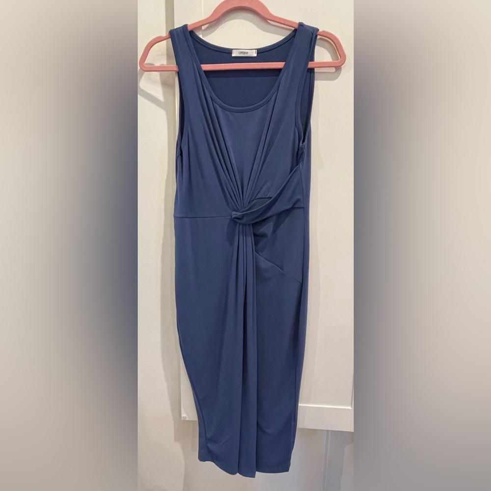 Blue Dress with Cinched Waist